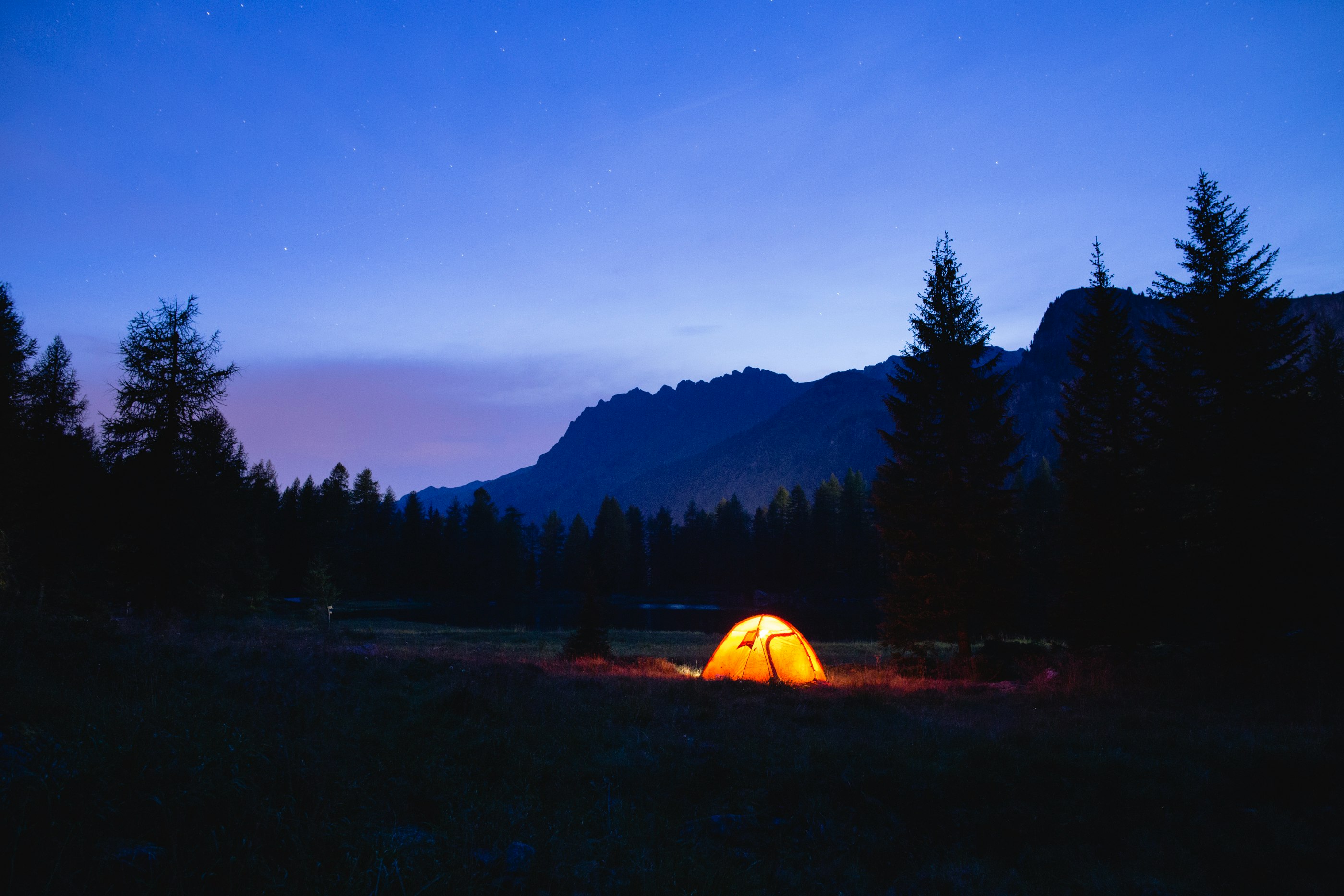 orange dome tent surrounded by silhouette of trees at blue hour